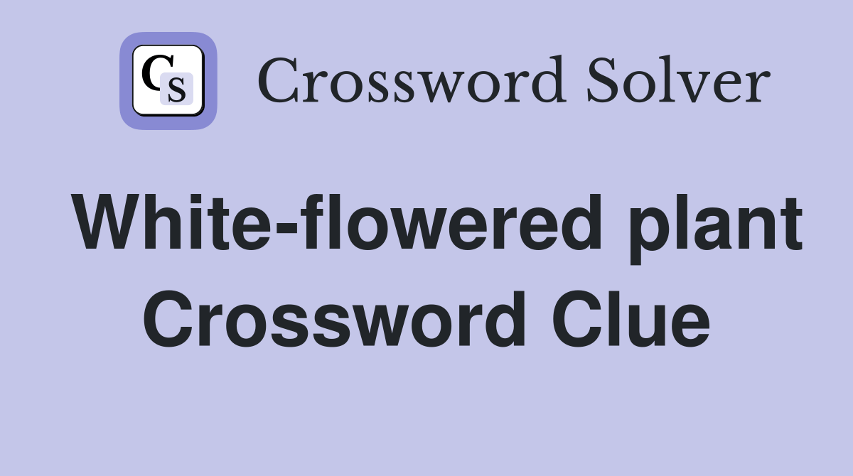 Whiteflowered plant Crossword Clue Answers Crossword Solver